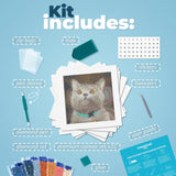 LuwoArte Large Diamond Art Kits for Adults - Brilliant Art Diamond Painting Kit - Paint Gem Art for Adults - Meme Cats