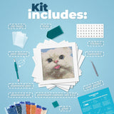 LuwoArte Large Diamond Art Kits for Adults - Brilliant Art Diamond Painting Kit - Paint Gem Art for Adults - Meme Cats 2.0